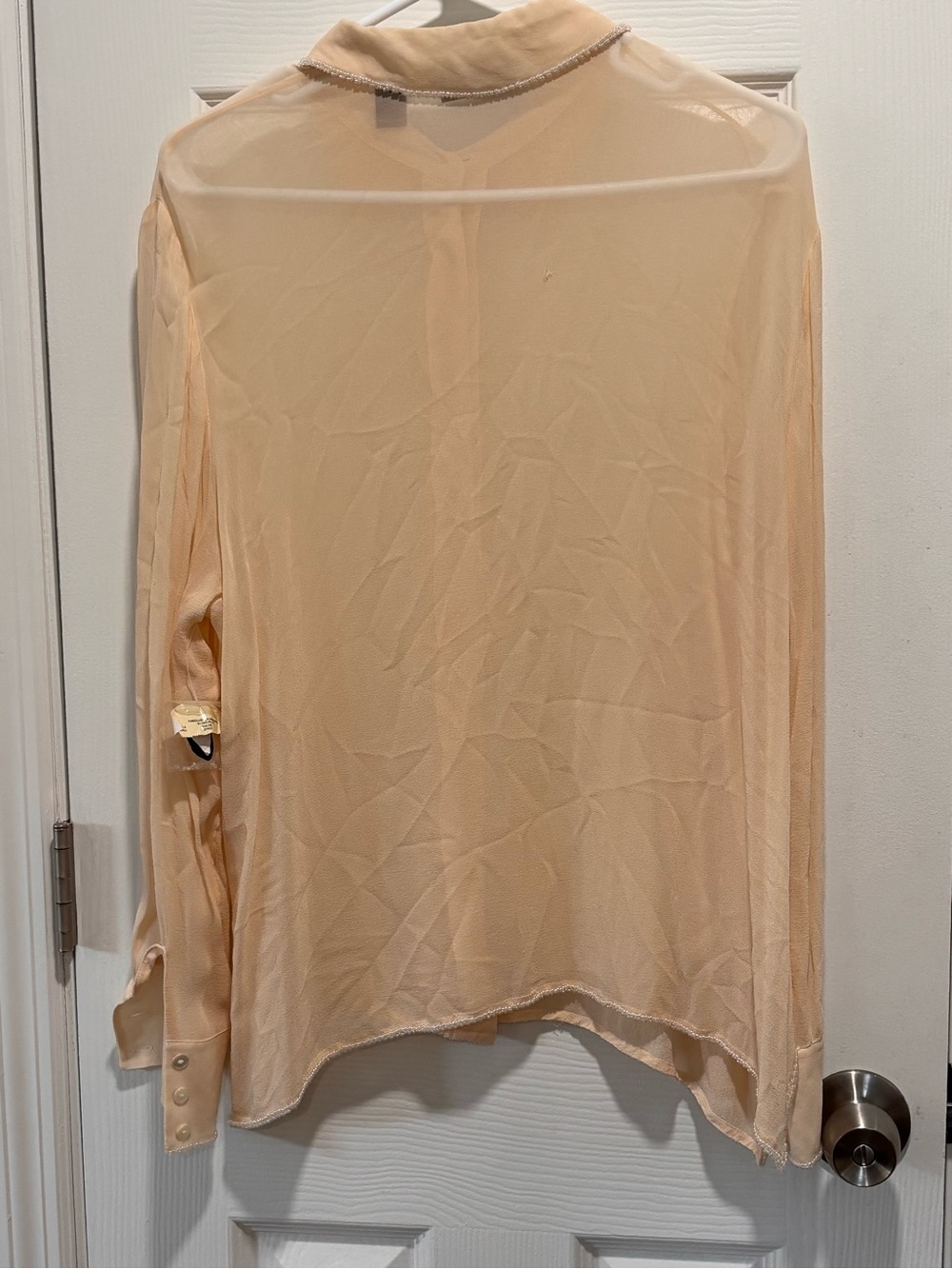 🩵Peach Sheer Button-Down Blouse with Classic Collar - Picture 3 of 10